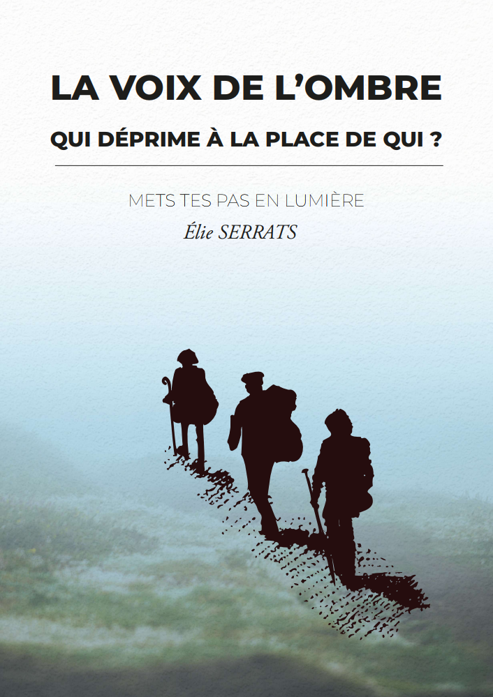 Couverture La Voix de l'Ombre